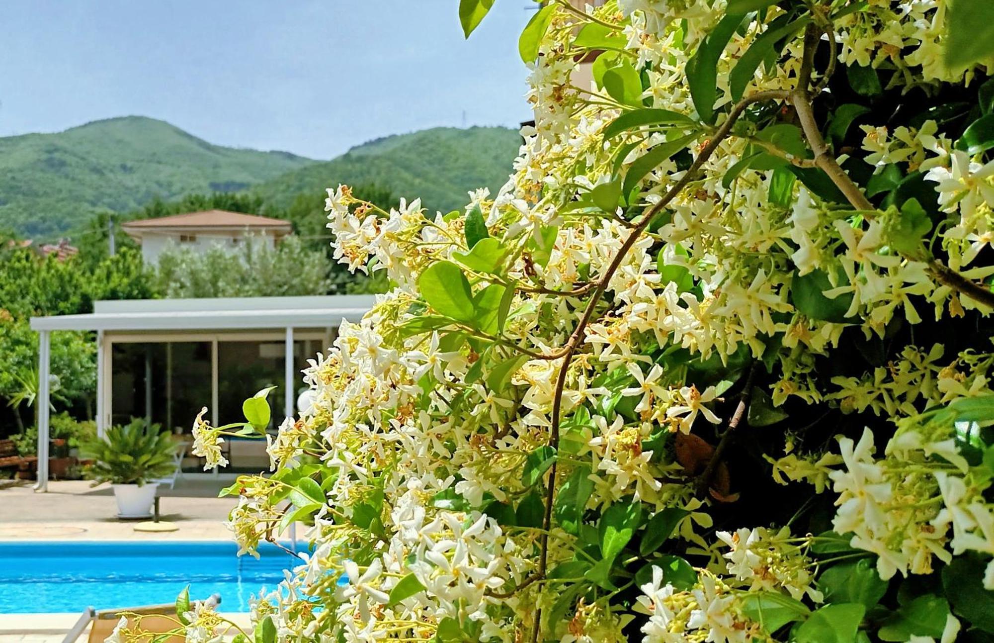La Residenza Del Marchesato Bed and Breakfast Marano Marchesato Εξωτερικό φωτογραφία